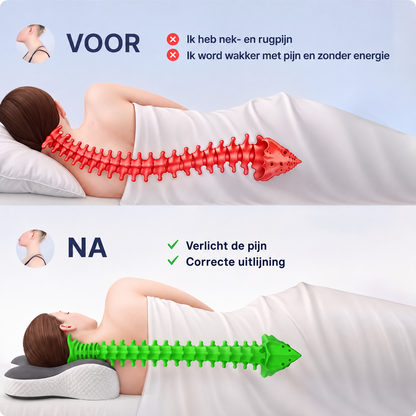 Ergonomisch Kussen